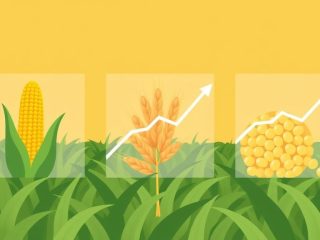 {"prompt":"create no text flat illustration, Depict agricultural commodities to trade. Corn, wheat, soybeans shown as charts with price arrows. Background: field green or amber. No wording.","originalPrompt":"create no text flat illustration, Depict agricultural commodities to trade. Corn, wheat, soybeans shown as charts with price arrows. Background: field green or amber. No wording.","width":1024,"height":576,"seed":42,"model":"flux","enhance":false,"nologo":true,"negative_prompt":"worst quality, blurry","nofeed":true,"safe":false,"isMature":false,"isChild":false}